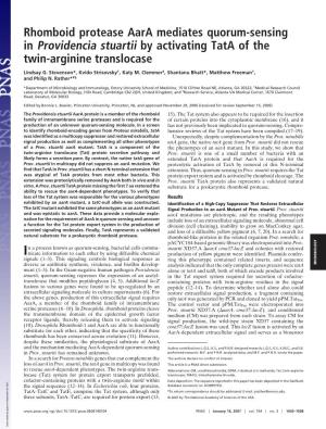 Rhomboid Protease Aara Mediates Quorum-Sensing in Providencia Stuartii by Activating Tata of the Twin-Arginine Translocase