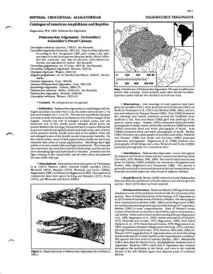 CROCODYLW ALLIGATORIDAE PALEOSUCHUS TRI WNATUS Catalogue of American Amphibians and Reptiles
