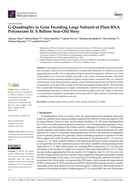 G-Quadruplex in Gene Encoding Large Subunit of Plant RNA Polymerase II: a Billion-Year-Old Story