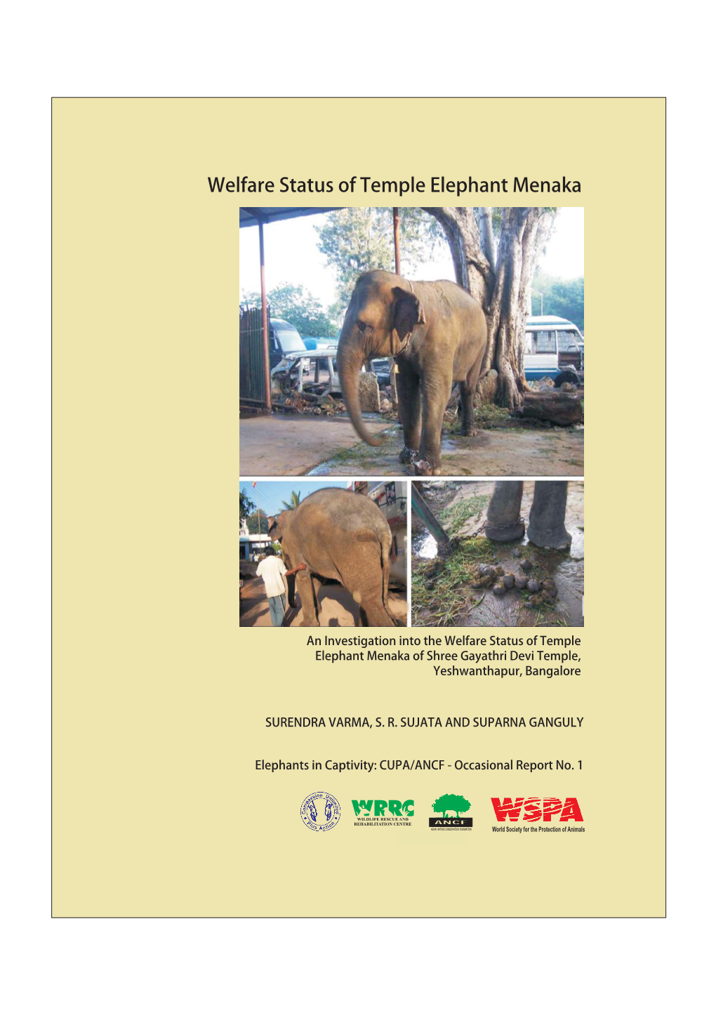 Welfare Status of Temple Elephant Menaka