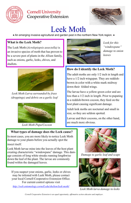 Leek Moth, an Emerging Invasive Agricultural and Garden Pest in The