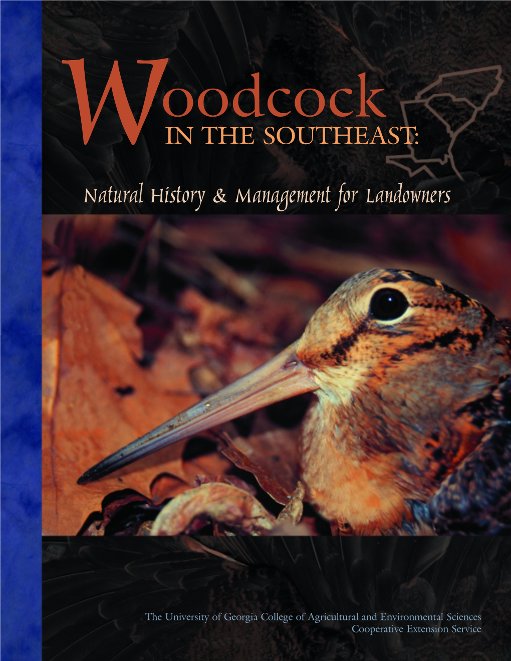 Woodcock in the SOUTHEAST