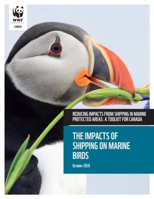 THE IMPACTS of SHIPPING on MARINE BIRDS October 2020 Prepared for WWF-Canada by Kristyn Lyons and Elissama De Oliveira Menezes