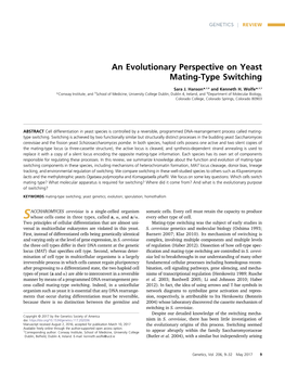 An Evolutionary Perspective on Yeast Mating-Type Switching