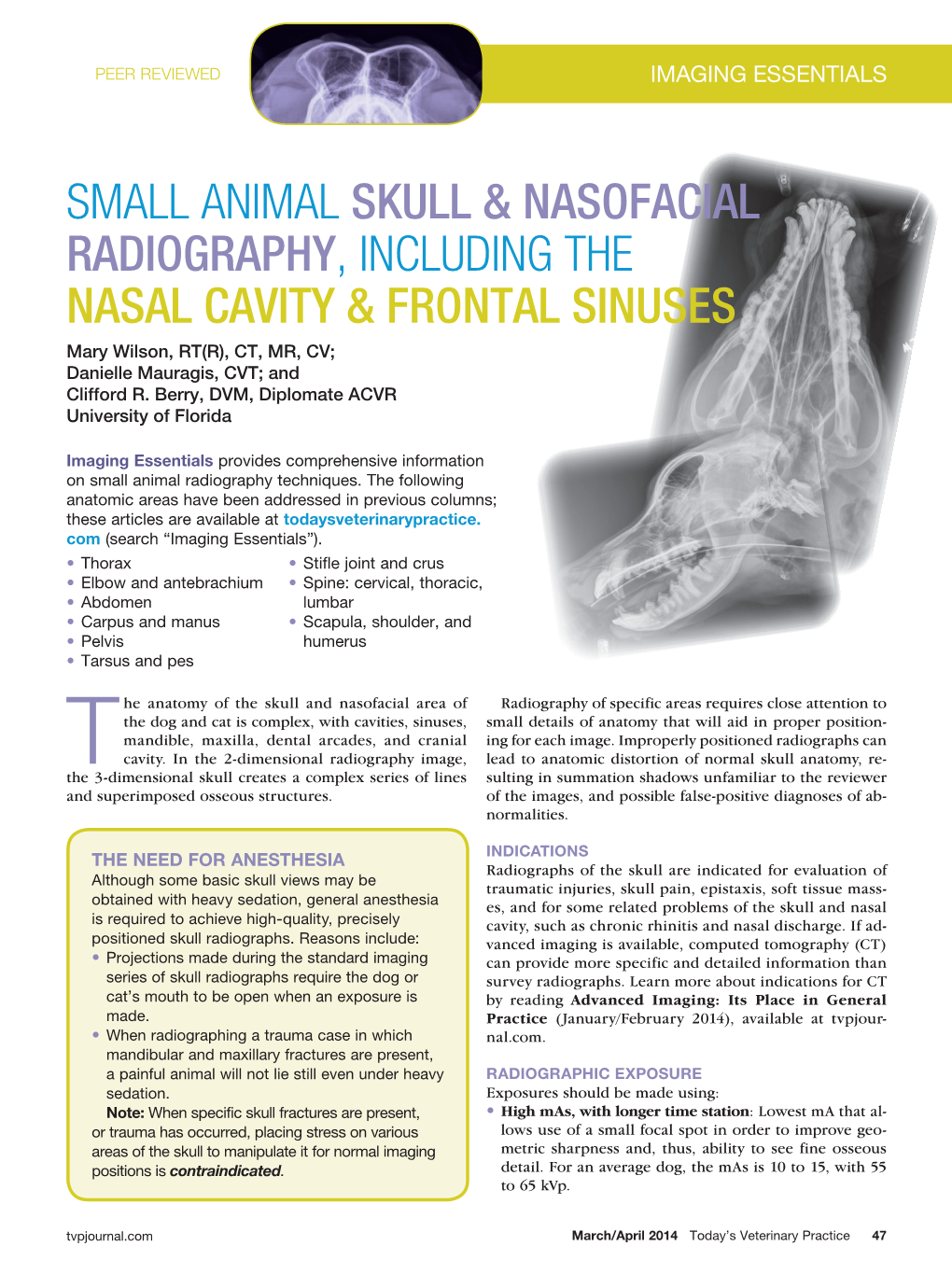 Small Animal Skull & Nasofacial Radiography