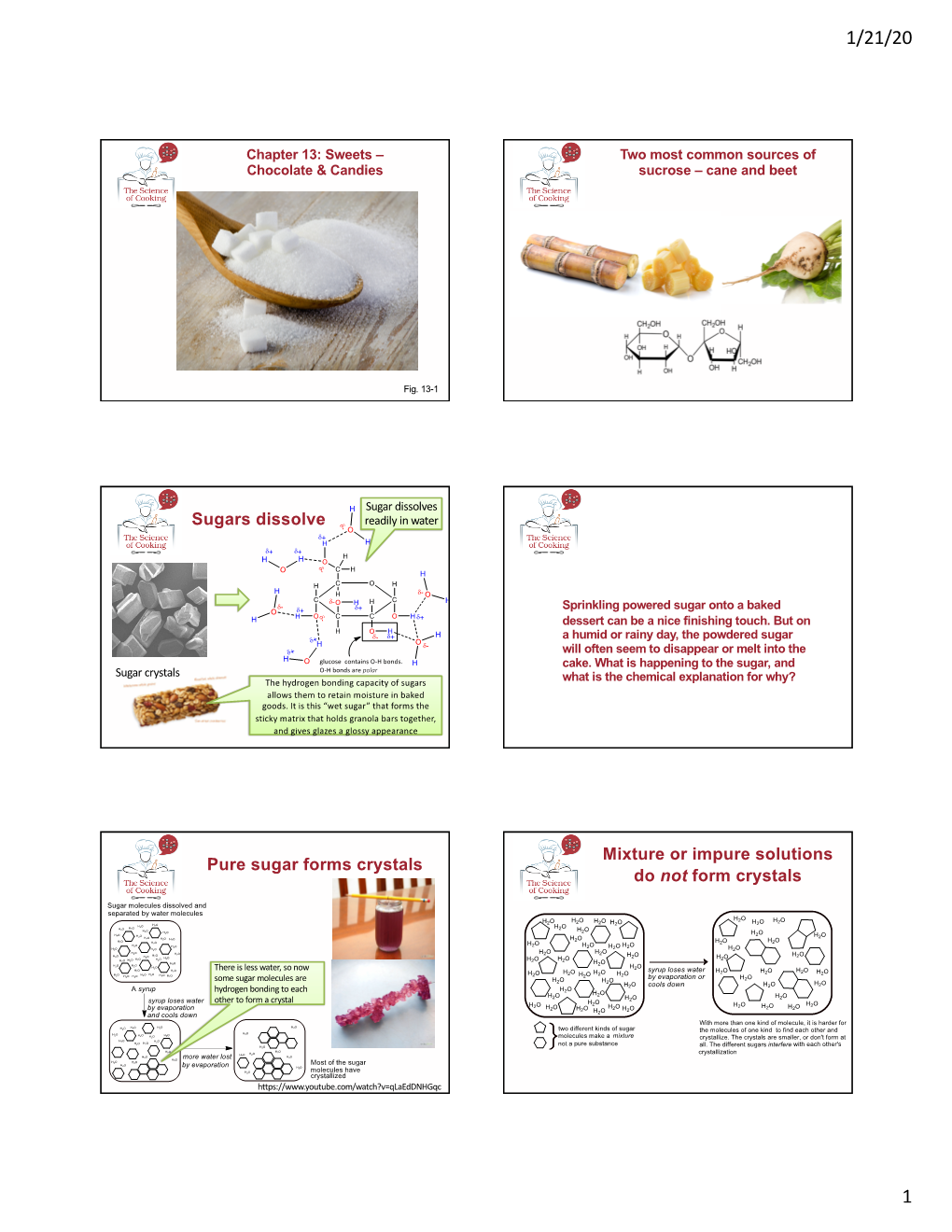 SOC Annotated PPT Chpt 13