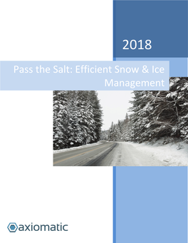 Pass the Salt: Efficient Snow & Ice Management