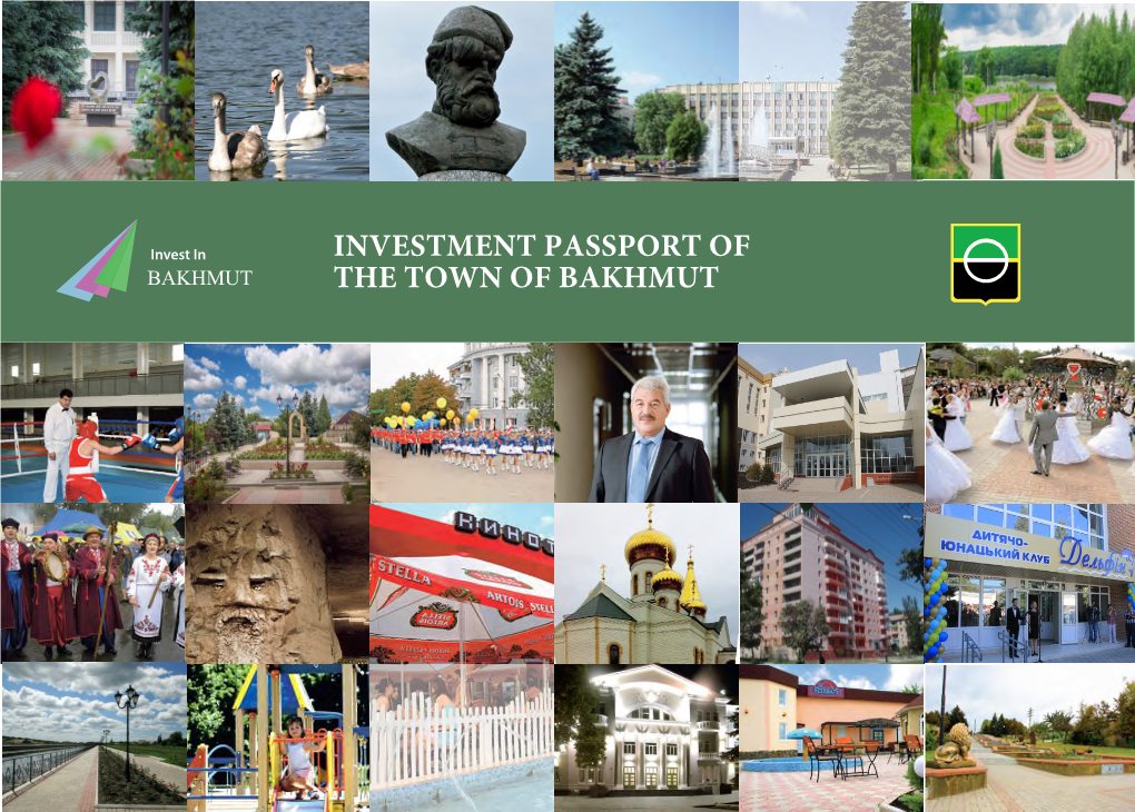 Investment Passport of the Town of Bakhmut