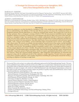 A Neotype for Homunculus Patagonicus Ameghino, 1891, and a New Interpretation of the Taxon