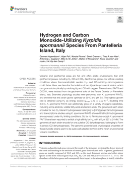 Hydrogen and Carbon Monoxide-Utilizing Kyrpidia Spormannii Species from Pantelleria Island, Italy