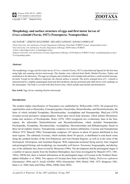 Zootaxa,Morphology and Surface Structure of Eggs