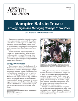 Vampire Bats in Texas: Ecology, Signs, and Managing Damage to Livestock