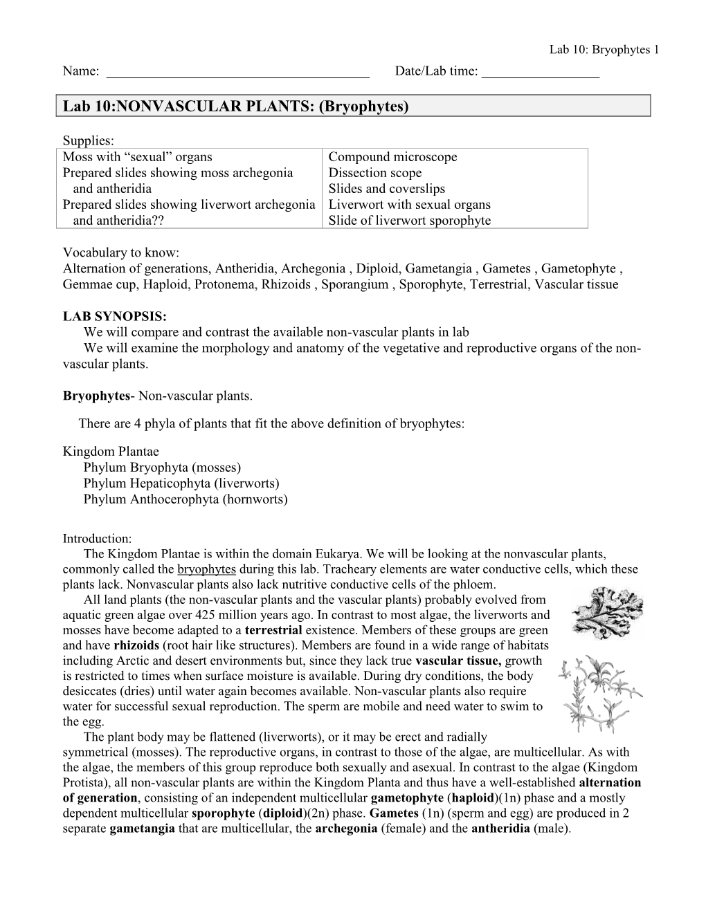 Lab 10:NONVASCULAR PLANTS: (Bryophytes)