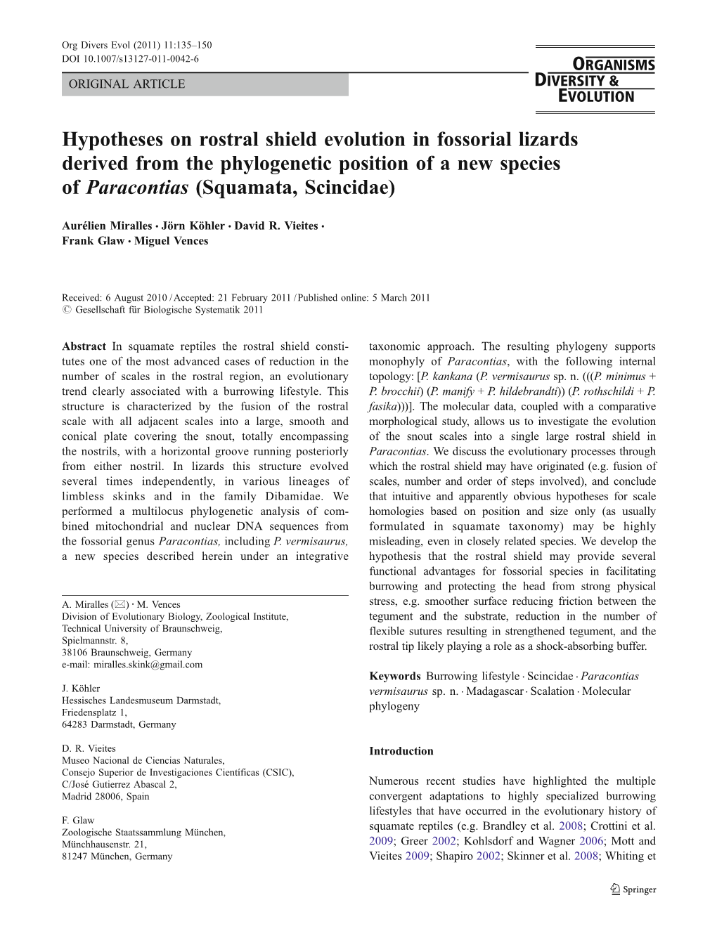 Hypotheses on Rostral Shield Evolution in Fossorial Lizards Derived from the Phylogenetic Position of a New Species of Paracontias (Squamata, Scincidae)