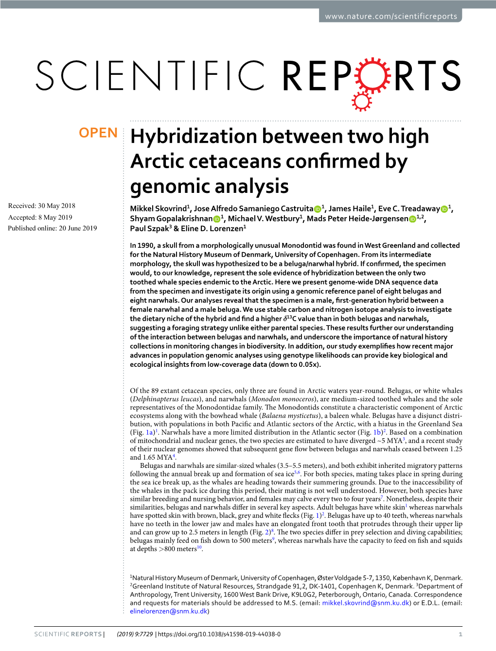 Hybridization Between Two High Arctic Cetaceans Confirmed by Genomic