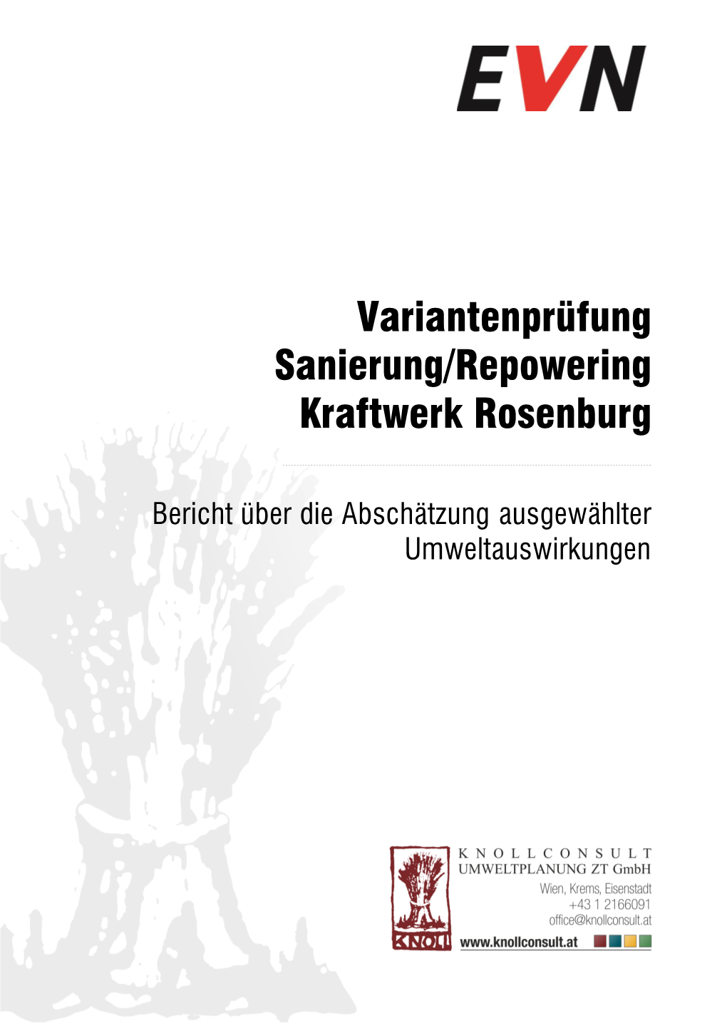 Variantenprüfung Sanierung/Repowering Kraftwerk Rosenburg