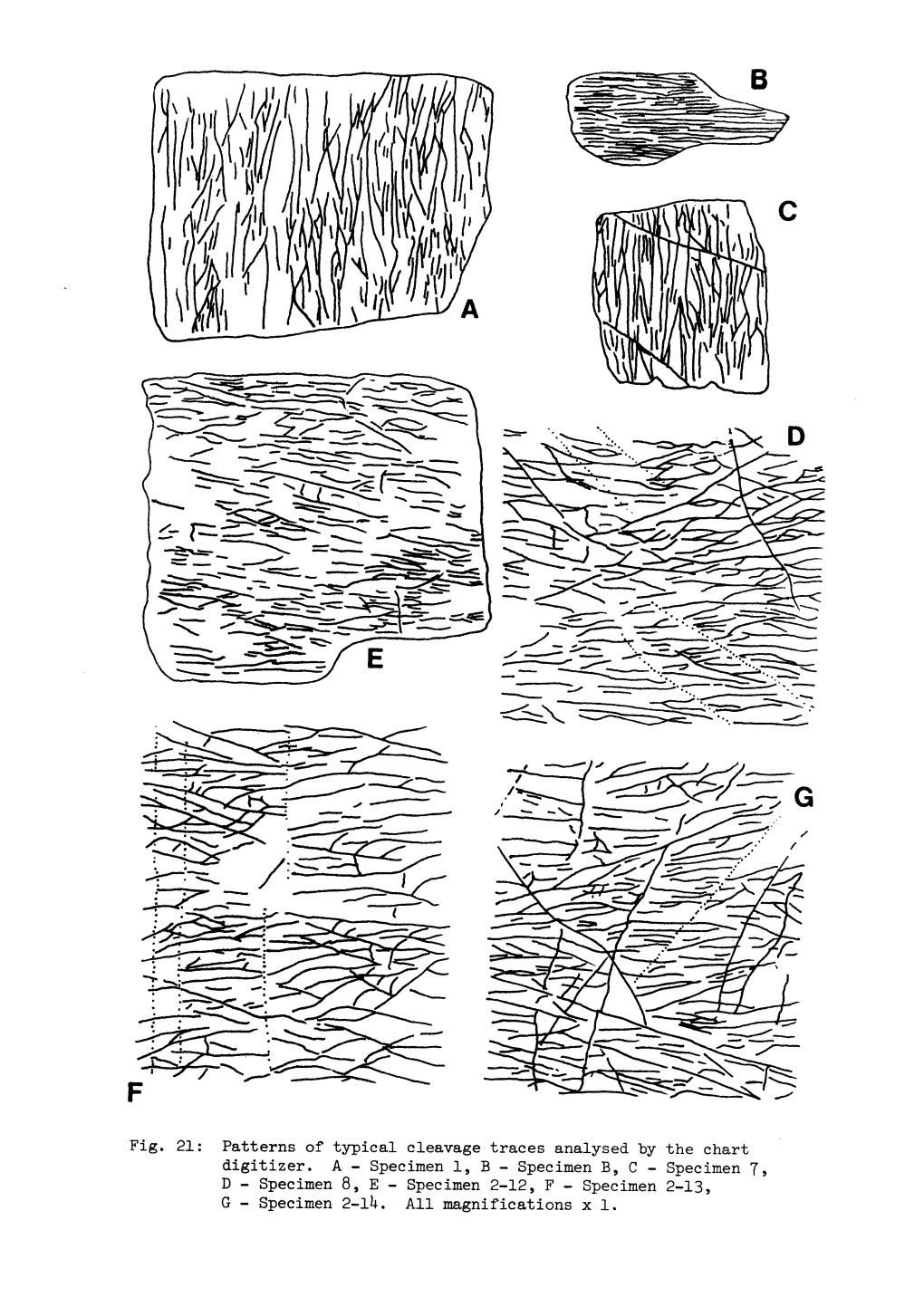 Patterns of Typical Cleavage Traces Analysed by the Chart Digitizer. A