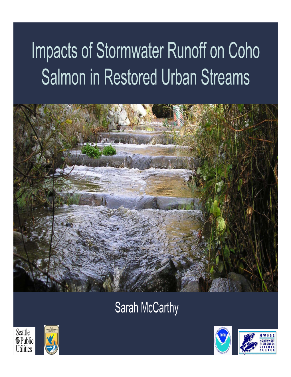 Impacts of Stormwater Runoff on Coho Salmon in Restored Urban Streams