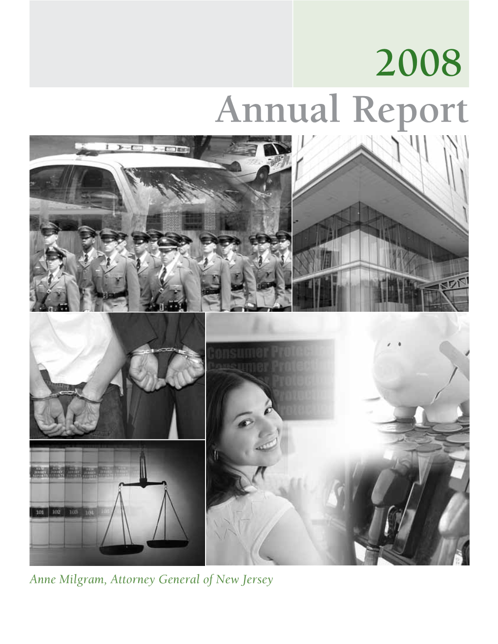 2008 Annual Report