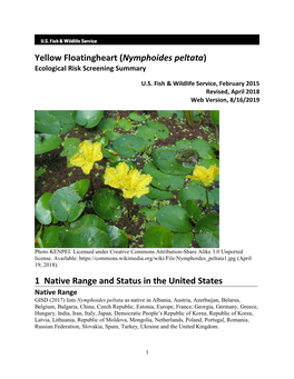 Yellow Floatingheart (Nymphoides Peltata) Ecological Risk Screening Summary