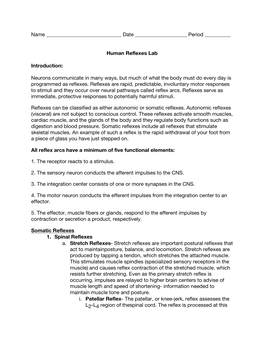 Human Reflexes Lab Introduction