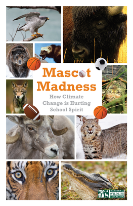 Mascot Madness How Climate Change Is Hurting School Spirit Mascot Madness How Climate Change Is Hurting School Spirit