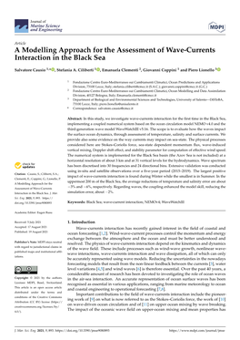 A Modelling Approach for the Assessment of Wave-Currents Interaction in the Black Sea