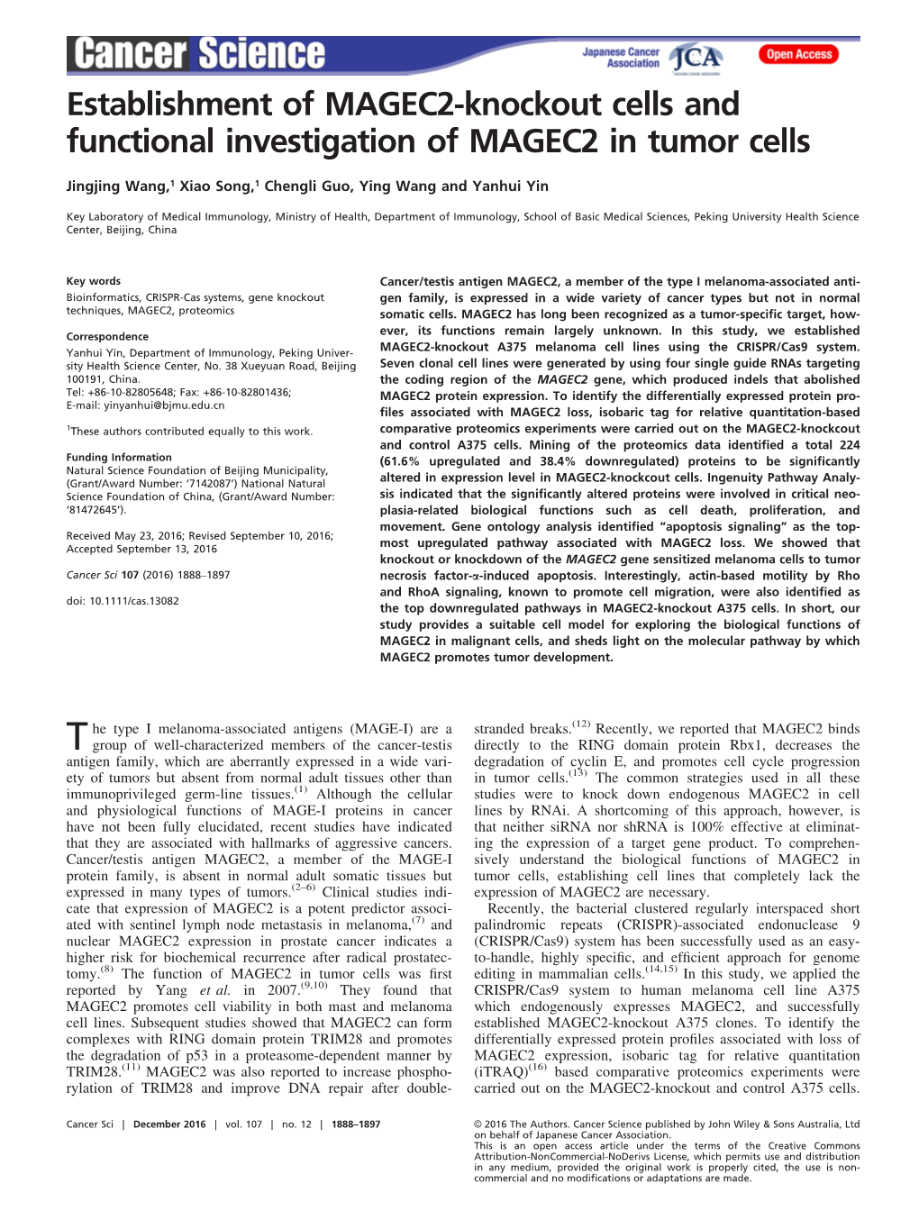 Knockout Cells and Functional Investigation of MAGEC2 in Tumor Cells