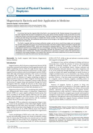 Magnetotactic Bacteria and Their Application in Medicine