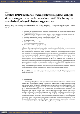 Skeletal Reorganization and Chromatin Accessibility During Re- Vascularization-Based Blastema Regeneration