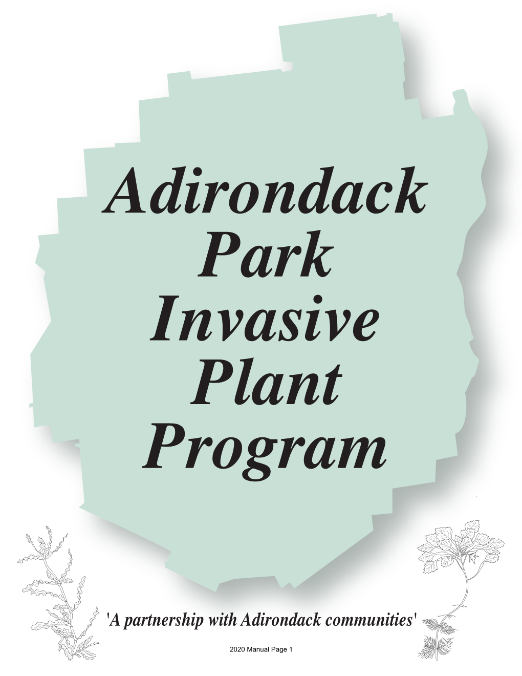 'A Partnership with Adirondack Communities'