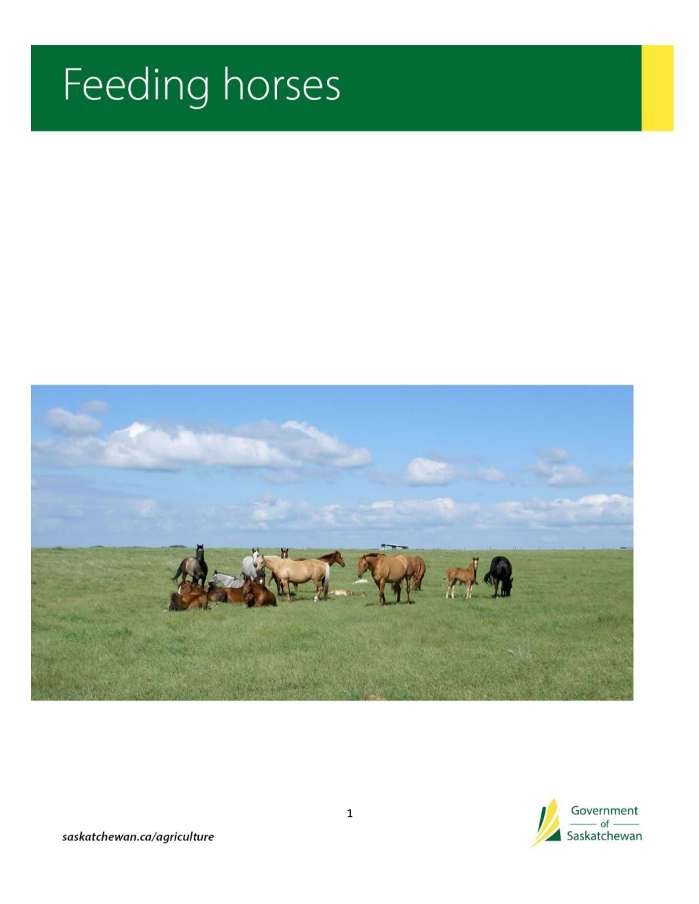 Feeding Horses (PDF)