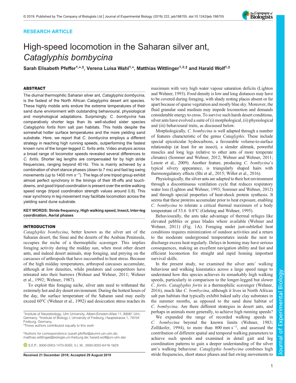 High-Speed Locomotion in the Saharan Silver Ant, Cataglyphis Bombycina Sarah Elisabeth Pfeffer1,*,‡, Verena Luisa Wahl1,*, Matthias Wittlinger1,2,‡ and Harald Wolf1,‡