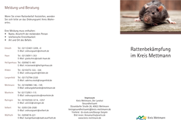 Rattenbekämpfung Im Kreis Mettmann