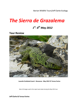 Iberian Wildlife Tours/Jeff Clarke Ecology