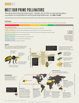 MEET OUR PRIME POLLINATORS Bees Do Far More Than Just Make Honey