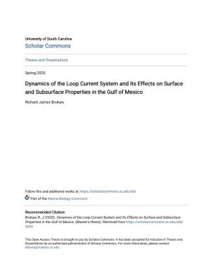 Dynamics of the Loop Current System and Its Effects on Surface and Subsurface Properties in the Gulf of Mexico