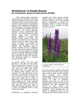 Monkshood—A Deadly Beauty by Todd Boland, Research Horticulturist, MUNBG
