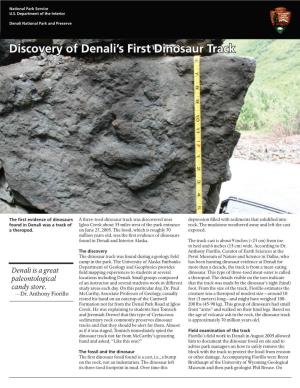 Discovery of Denali's First Dinosaur Track