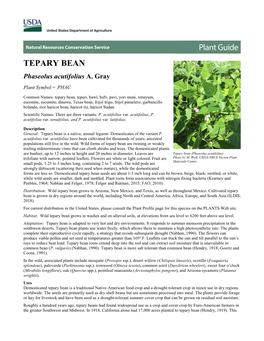 Plant Guide: Tepary Bean (Phaseolus Acutifolius)