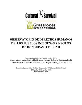 Universal Periodic Review Report on Honduras