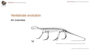 Vertebrate Evolution an Overview