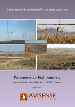 Pre-Construction Bird Monitoring Andrew Jenkins & Johan Du Plessis