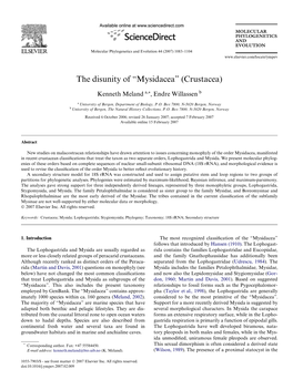 The Disunity of “Mysidacea” (Crustacea)