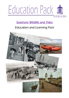 Seashore Wildlife and Tides Education and Learning Pack