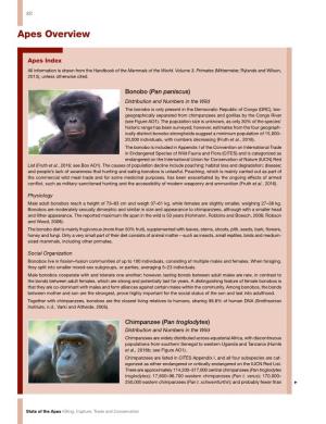 Apes Overview