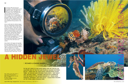 Sport Diving Magazine Issue143