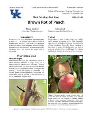 Brown Rot of Peach