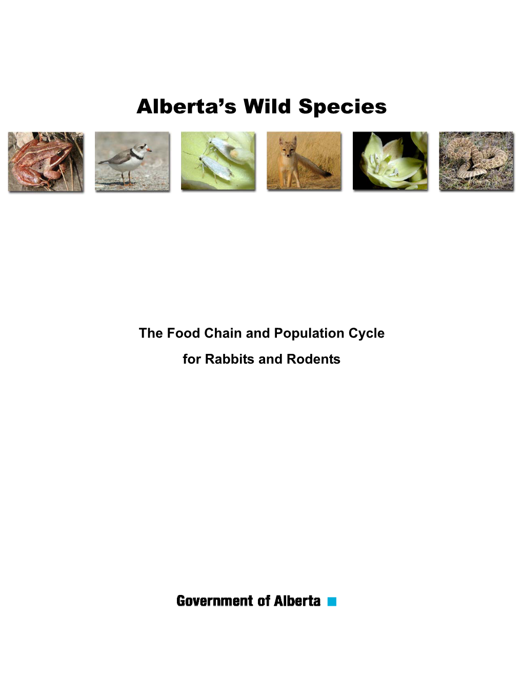 The Food Chain and Population Cycle for Rabbits and Rodents