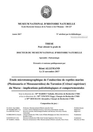 Etude Microtomographique De L'endocrâne De Reptiles Marins (Plesiosauria Et Mosasauroidea) Du Turonien (Crétacé Supérieur)